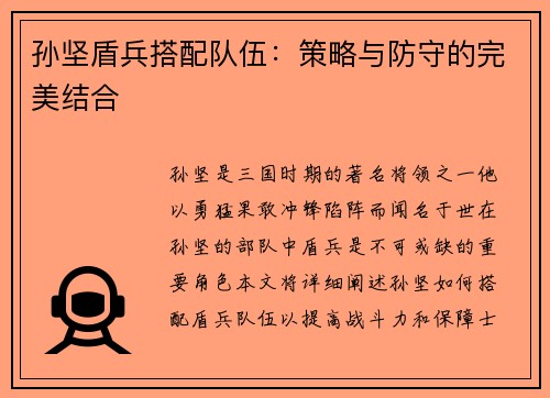 孙坚盾兵搭配队伍：策略与防守的完美结合
