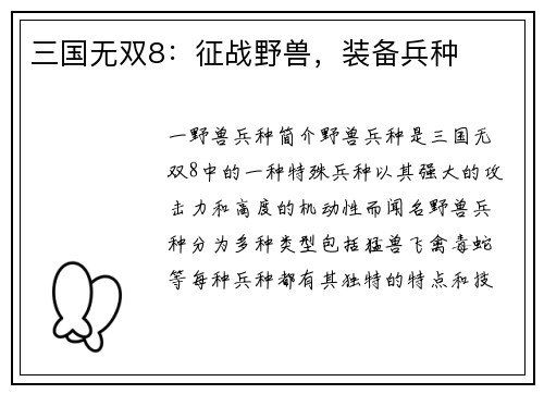 三国无双8：征战野兽，装备兵种